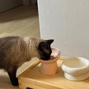 베스트 후기 이미지