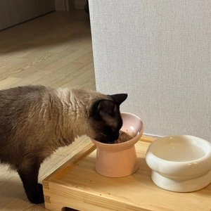 내추럴그레이트니스 캣 레빗&덕 185g 베스트 후기 이미지