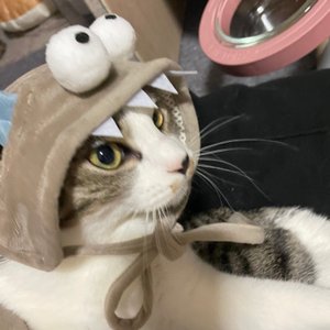 베스트 후기 이미지