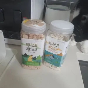 베스트 후기 이미지