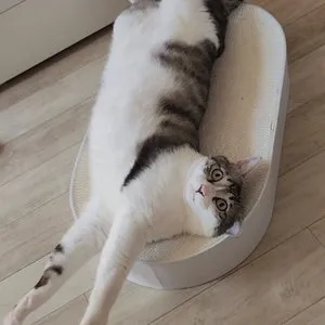 베스트 후기 이미지