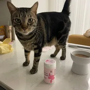 베스트 후기 이미지