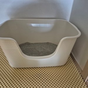 베스트 후기 이미지