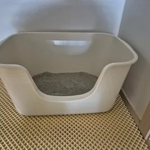 베스트 후기 이미지