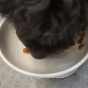 베스트 후기 이미지