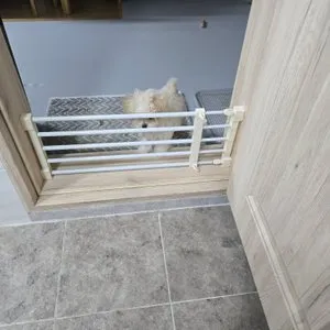 베스트 후기 이미지