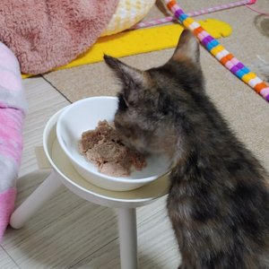 베스트 후기 이미지