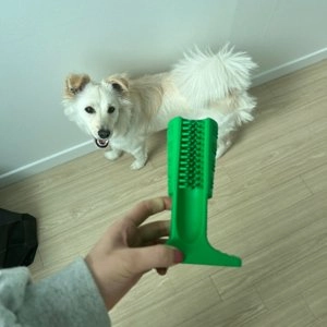 키키펫 셀프양치 브러싱스틱 그린 L 베스트 후기 이미지