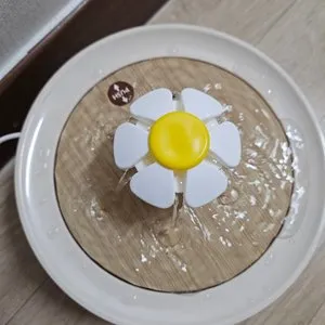 베스트 후기 이미지