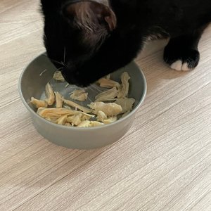 베스트 후기 이미지