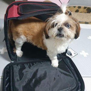 베스트 후기 이미지