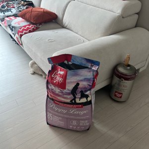 베스트 후기 이미지