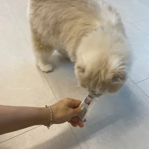 베스트 후기 이미지