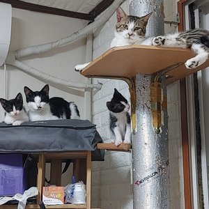 베스트 후기 이미지