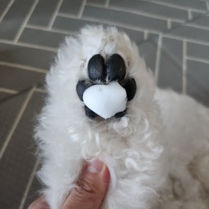 베스트 후기 이미지