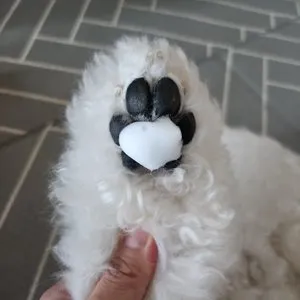 베스트 후기 이미지