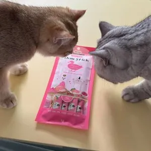 베스트 후기 이미지