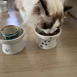 베스트 후기 이미지