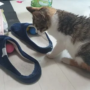 베스트 후기 이미지