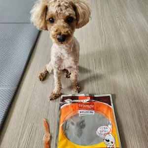 베스트 후기 이미지