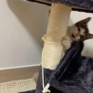 베스트 후기 이미지