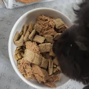 베스트 후기 이미지