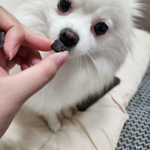 베스트 후기 이미지