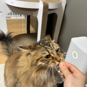 베스트 후기 이미지