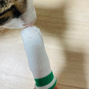 베스트 후기 이미지
