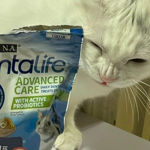 퓨리나 캣 덴탈라이프 치킨 51g 베스트 후기 이미지