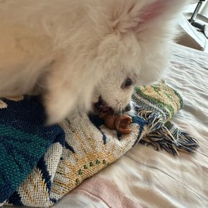 베스트 후기 이미지