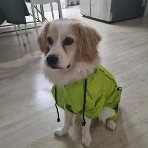 베스트 후기 이미지