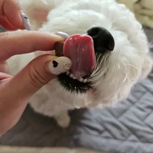 베스트 후기 이미지