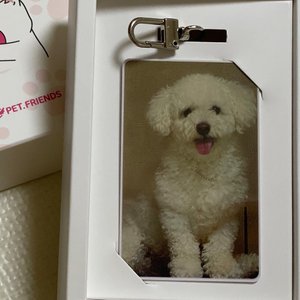 베스트 후기 이미지