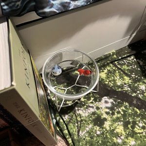 베스트 후기 이미지