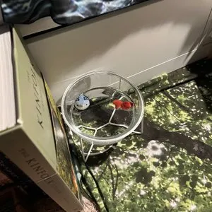 베스트 후기 이미지