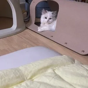 베스트 후기 이미지