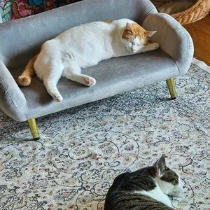 베스트 후기 이미지