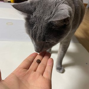 베스트 후기 이미지