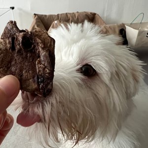 베스트 후기 이미지