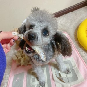 베스트 후기 이미지
