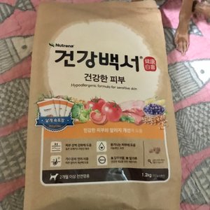베스트 후기 이미지