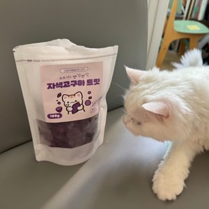 베스트 후기 이미지