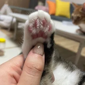 베스트 후기 이미지