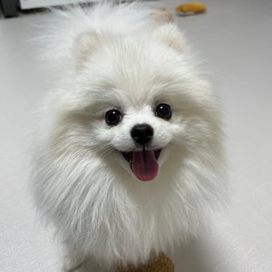 베스트 후기 이미지