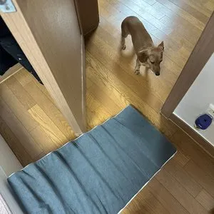 베스트 후기 이미지