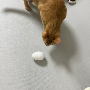 베스트 후기 이미지
