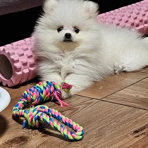 베스트 후기 이미지