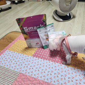 베스트 후기 이미지