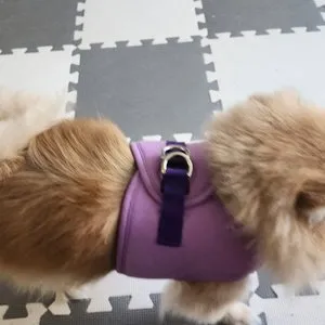 베스트 후기 이미지